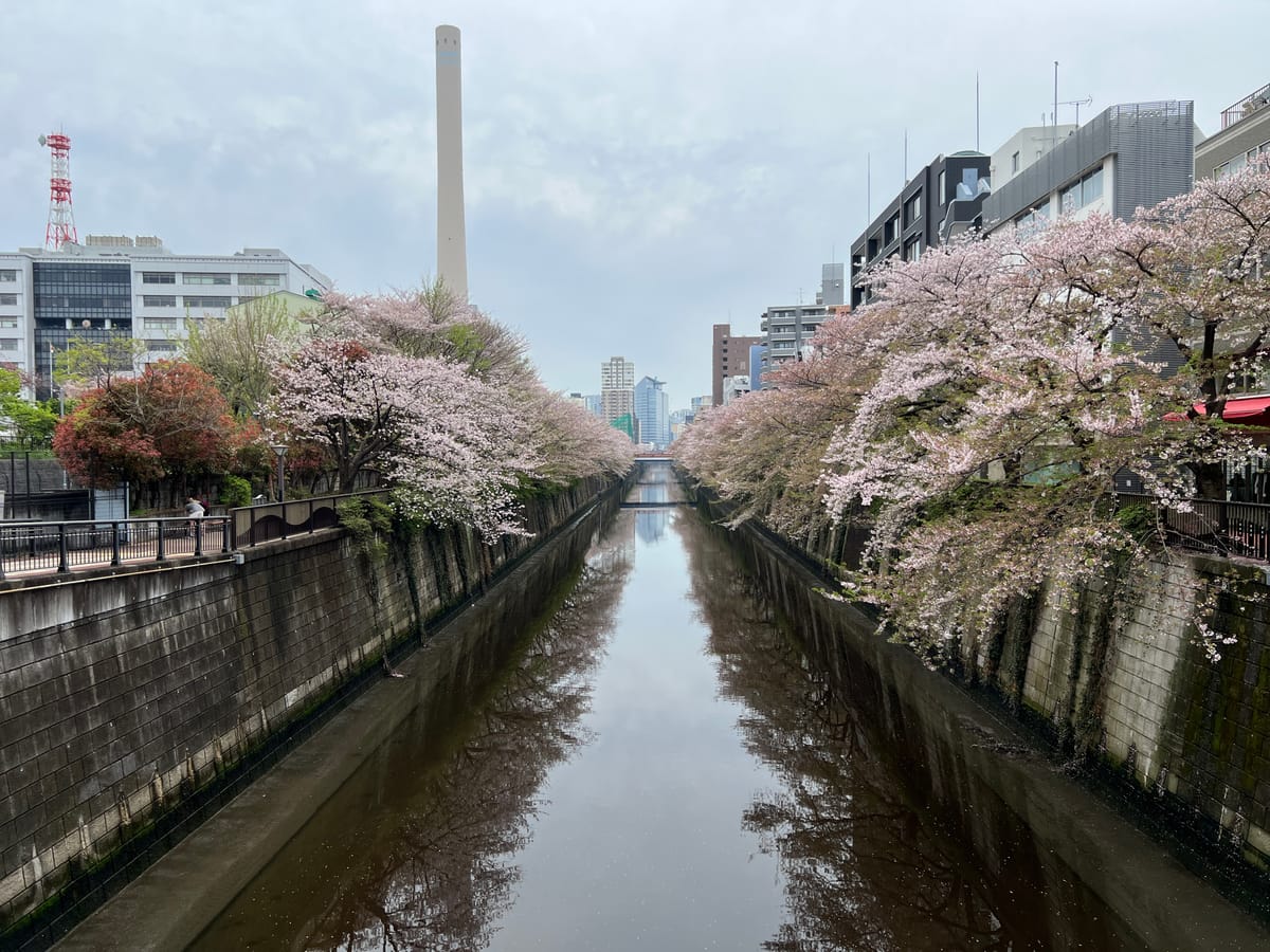 A very late Tokyo photo dump