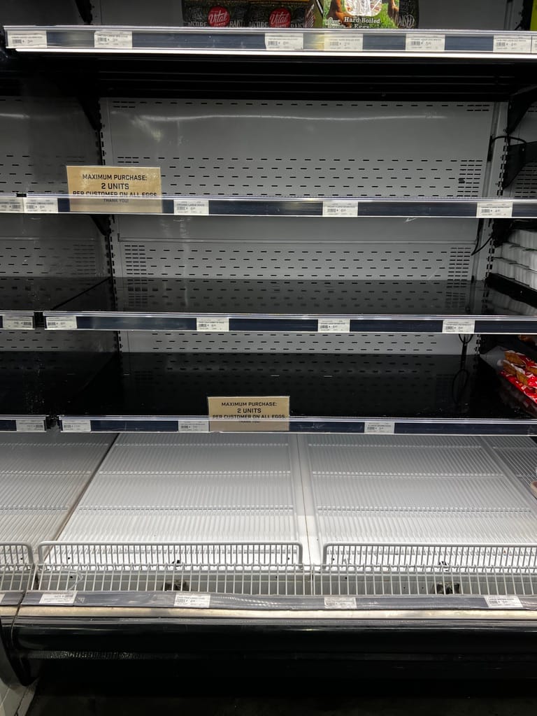 it's the end of the world as we know it and i feel mildly ill